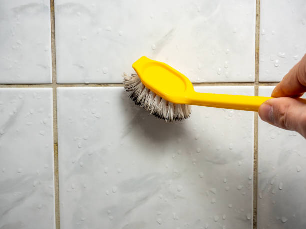 Mold Removal and Inspection in Agua Dulce, TX