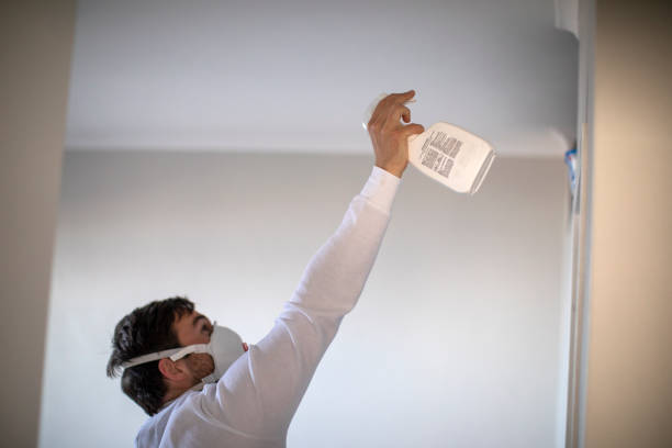 Best Mold Remediation  in Agua Dulce, TX