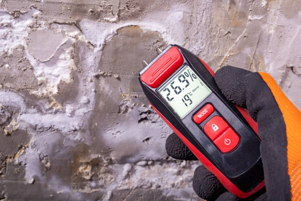 Best Office Mold Removal Services  in Agua Dulce, TX