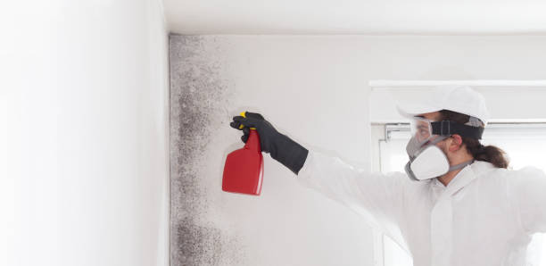 Water Damage Restoration in Agua Dulce, TX