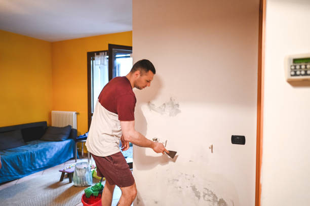 Best Emergency Mold Removal  in Agua Dulce, TX
